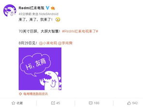 紅米70寸巨屏電視震撼發(fā)布，信息技術(shù)咨詢服務(wù)引領(lǐng)智能家居新體驗(yàn)